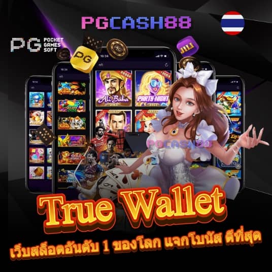 pg zeed