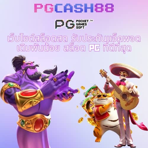pg zeed
