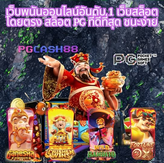 pg zeed